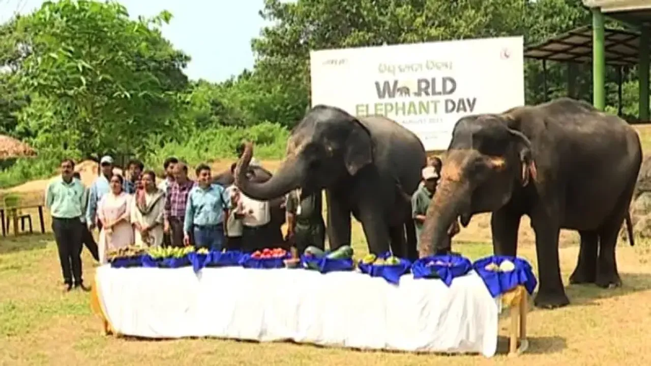 World Elephant Day celebrated at Nandankanan Zoological Park