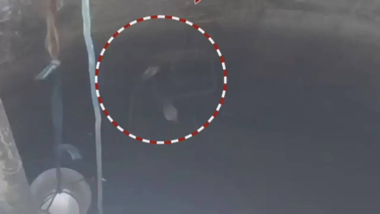 Cobra in drinking water supply tank sparks panic in Odisha’s Nuapada village