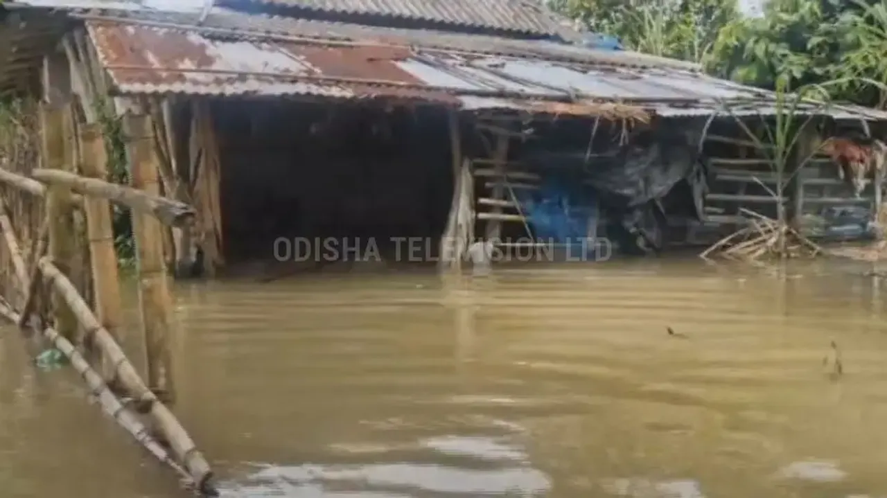 From crop loss to damaged homes, floods leave trail of despair in Odisha