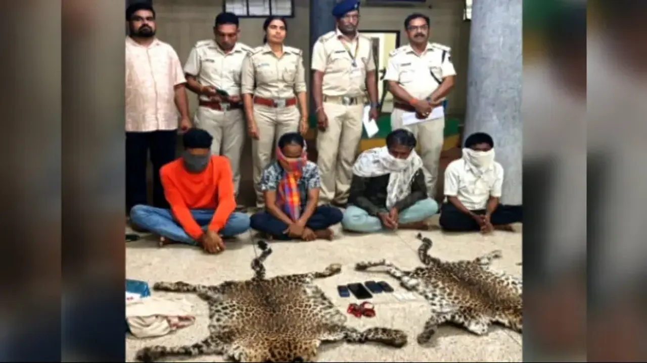 Leopard skin trafficking racket busted in Odisha, traders from Maharashtra among 4 held