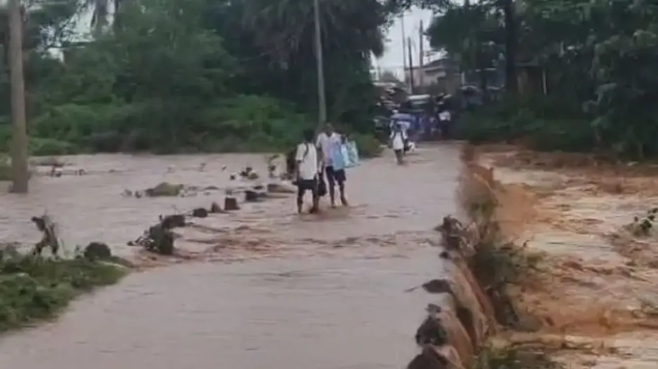 No flood situation in Odisha rivers: Water Resources Dept