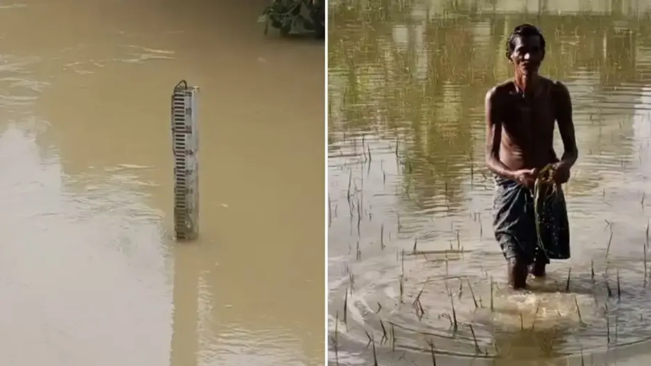 Flood, crop loss haunt farmers in Odisha’s Balasore as Jalaka, Budhabalanga rivers rise above danger