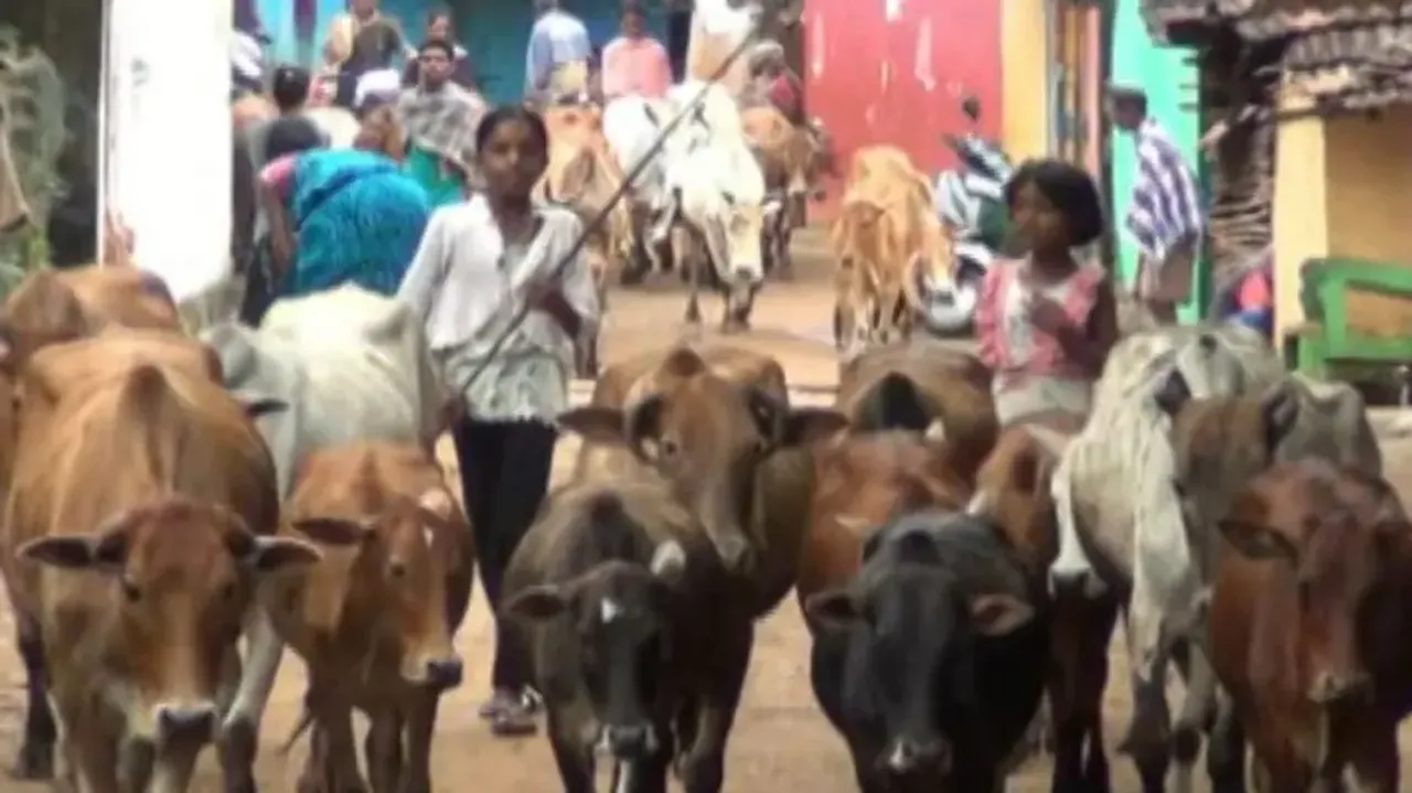 Poverty, migration, child marriage pushing thousands of Odisha kids out of school
