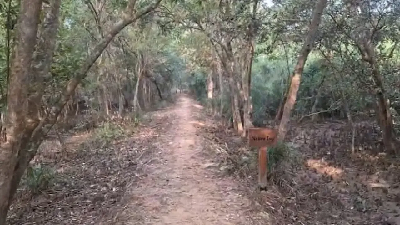 Mother-son duo missing for six days inside Odisha’s Bhitarkanika forest; massive search operation on