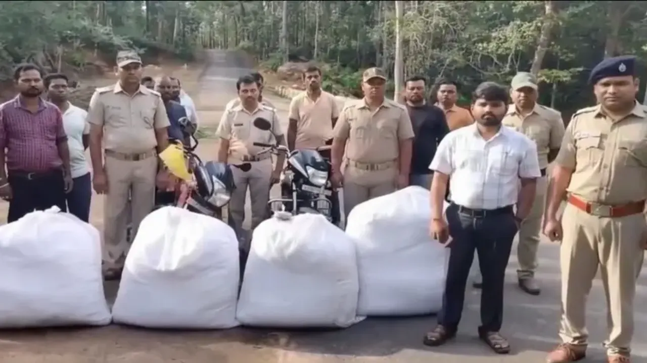 Over 3 quintals of ganja seized in Kandhamal