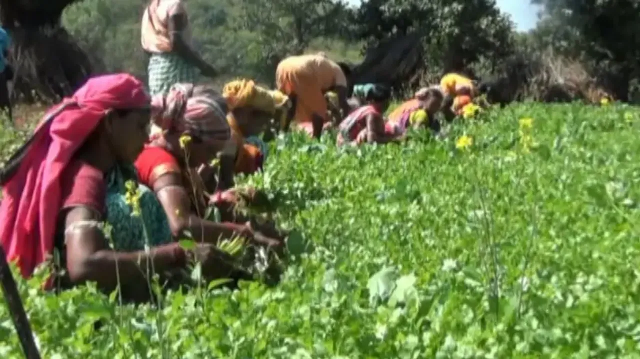 Koraput spices drive tourism demand; call grows for Odisha spice tourism map