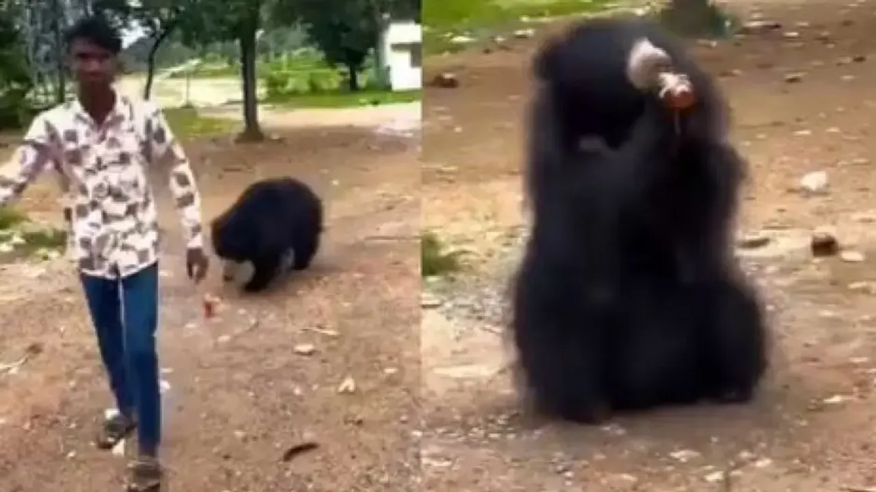 Viral video