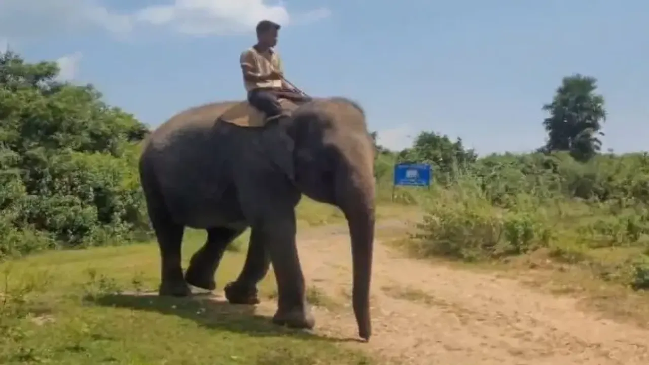 Indian Railways launches ‘Kumki’ campaign for elephant safety in Odisha's Athagarh with IDS