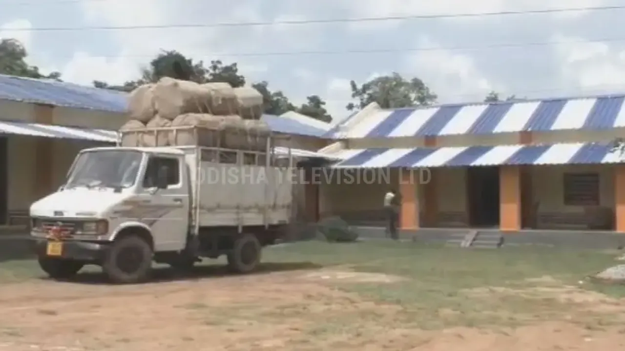 ‘Green Diamond’ under threat: Rampant illegal Kendu leaf smuggling in Bolangir, officials' involveme