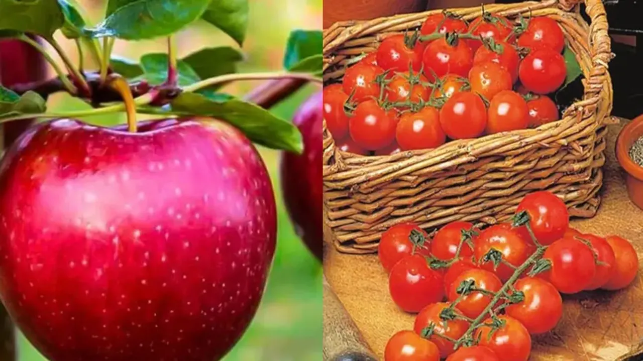 red fruits
