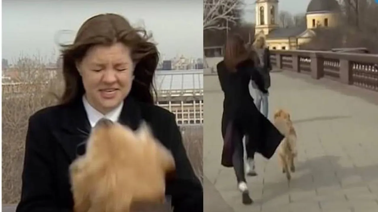 Pawsome Steal: Dog Steals Mic From Reporter During Live Broadcast | Watch