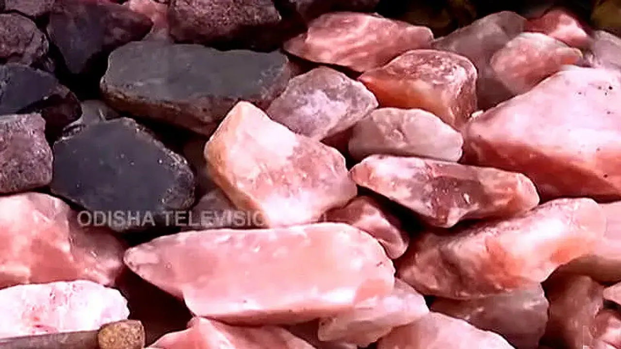 ‘Pakistan Ka Namak’ hits markets in Odisha’s Bhubaneswar