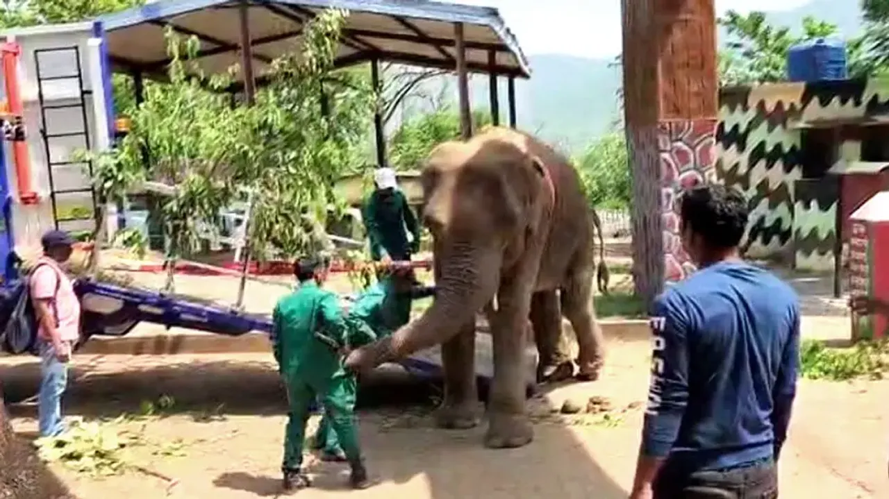 Odisha gets its first high-tech truck ‘Airabat’ for elephant transport