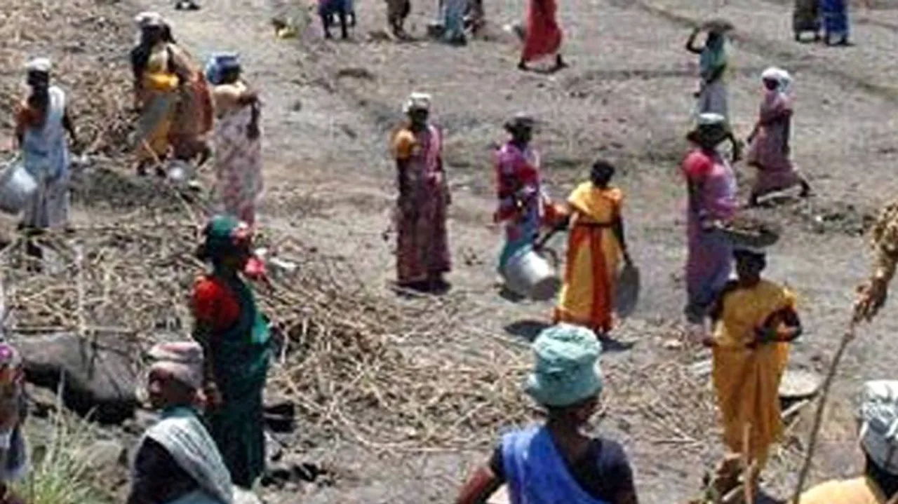 Odisha expects to spend Rs 2,000 crore on rural jobs scheme