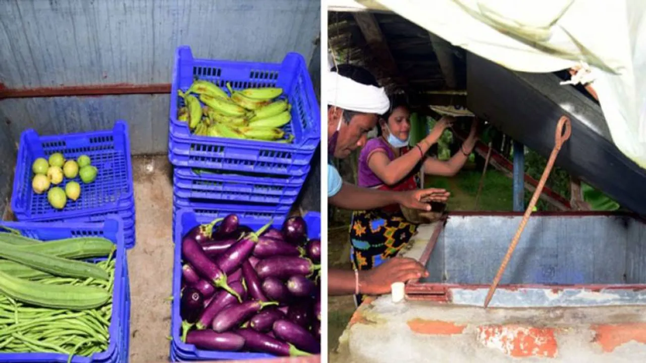 ‘Sabji Cooler’ Brings Smiles To Odisha Farmers