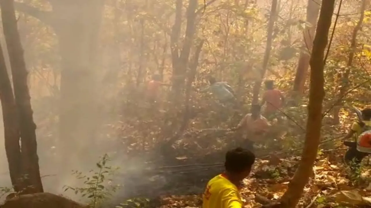 Foul play behind Budharaja Reserve Forest fire!