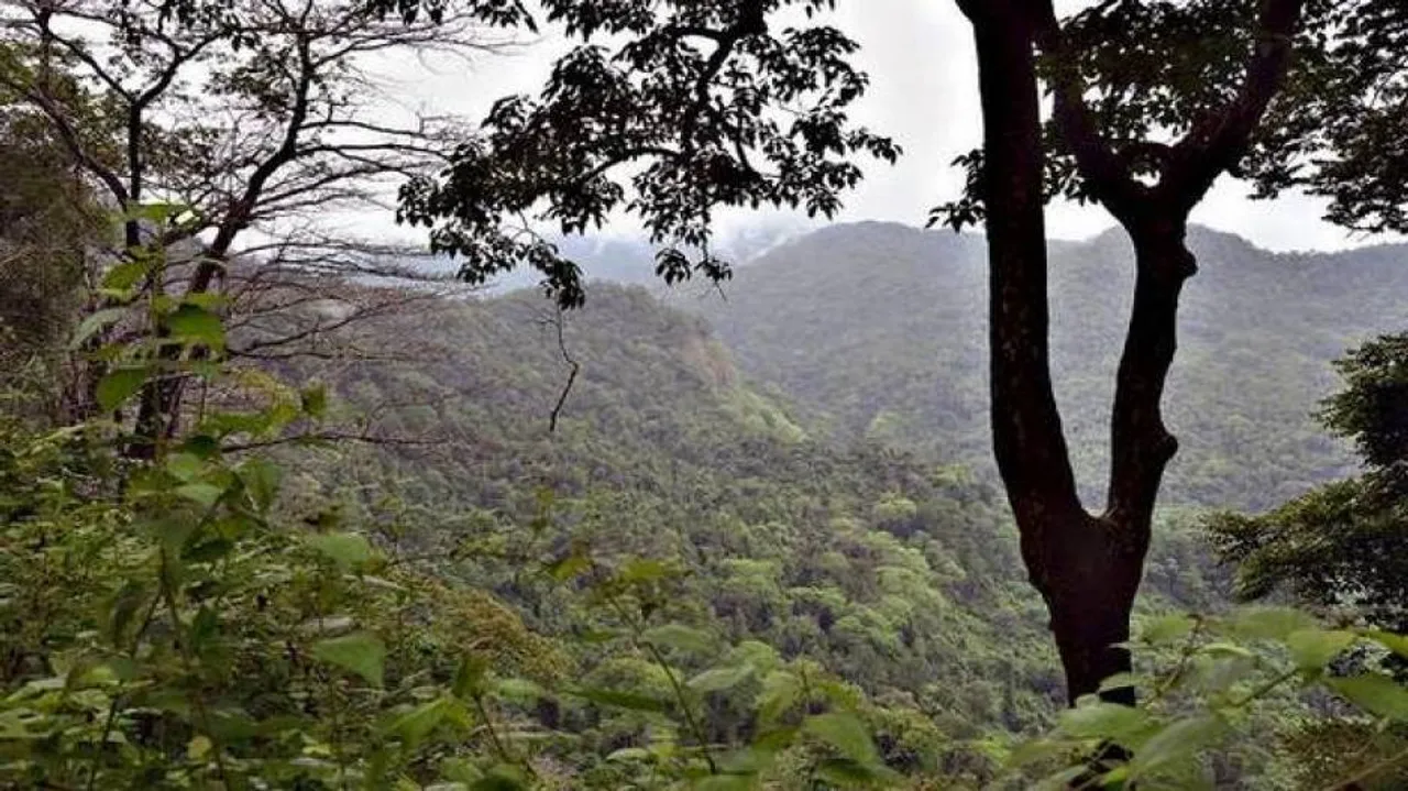 Industrial activities banned in Karnataka sanctuary