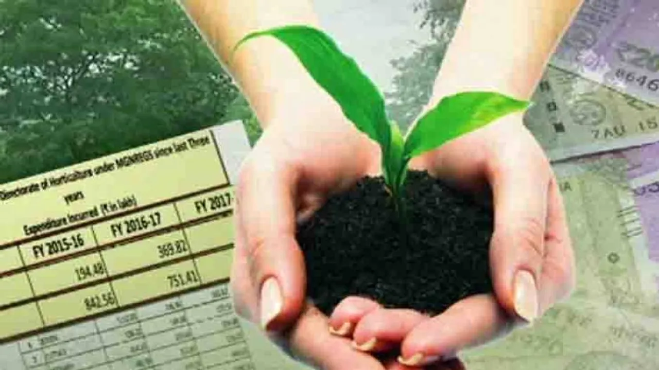 How multi-crore sapling scam took root in Odisha