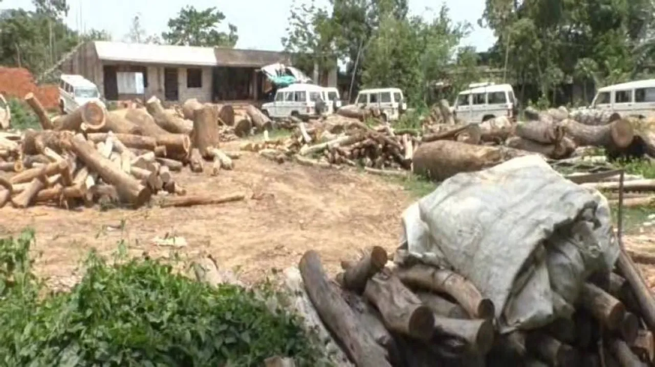 OTV Impact: Illegal sawmills sealed in Bhadrak