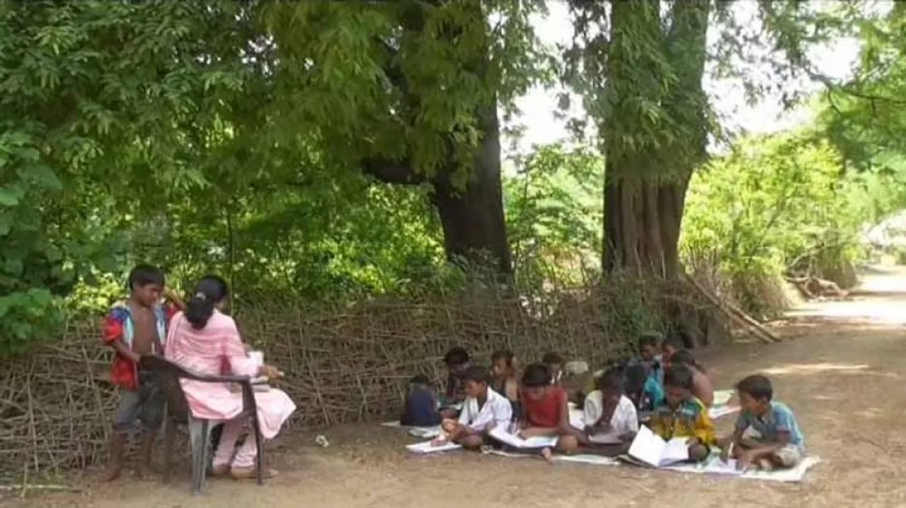 Sans building, school kids study under trees in Mayurbhanj