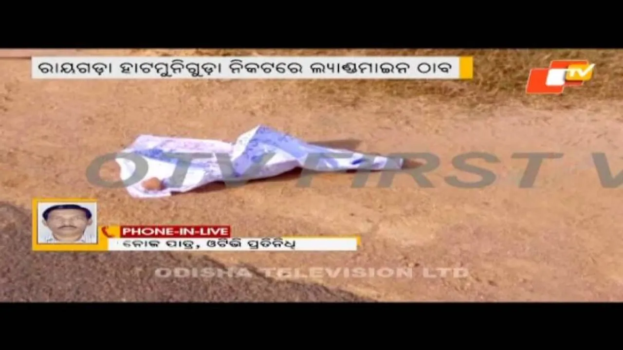 Sniffer dog injured in landmine blast