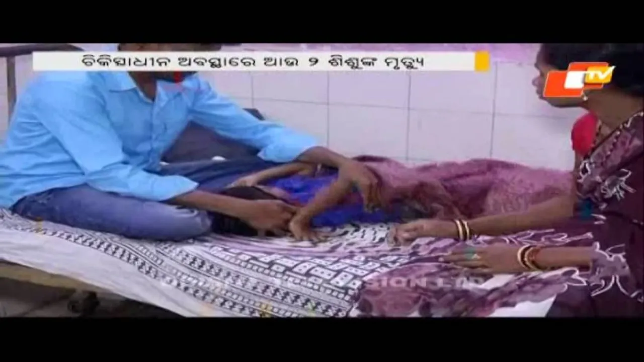 One more dies of Japanese Encephalitis in Malkangiri