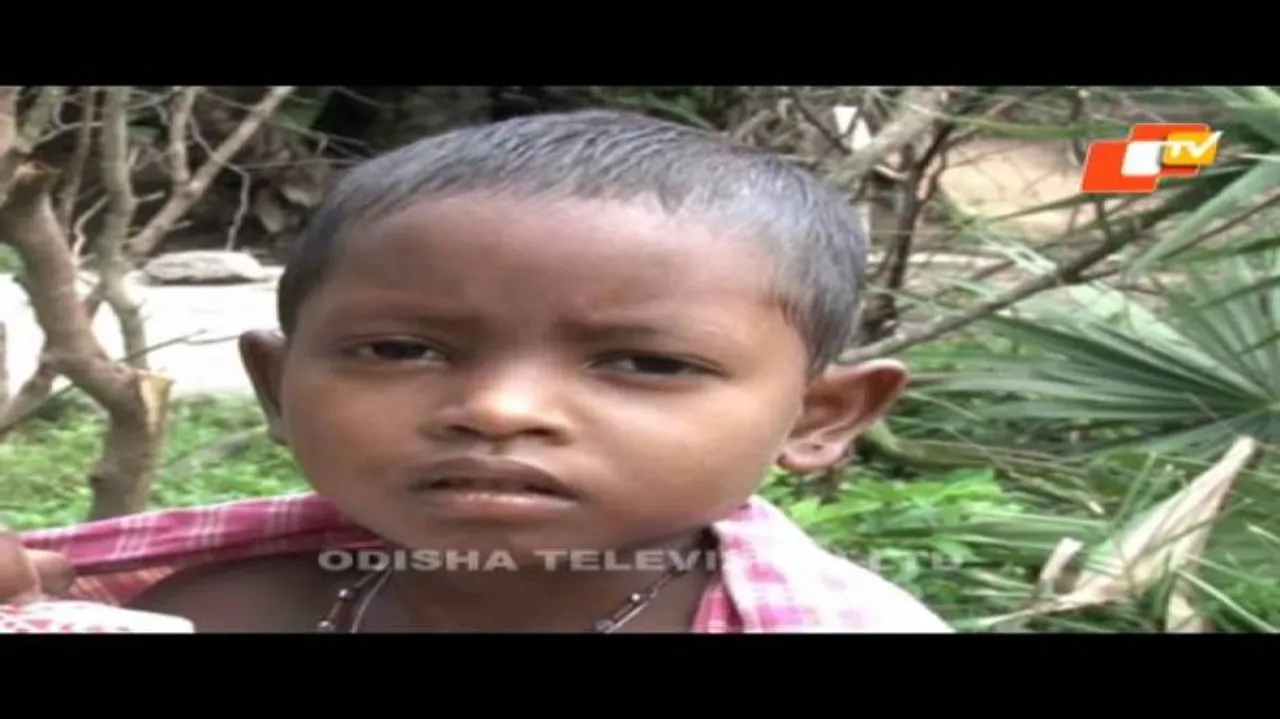 Japanese Encephalitis death toll reaches 16 in Malkangiri