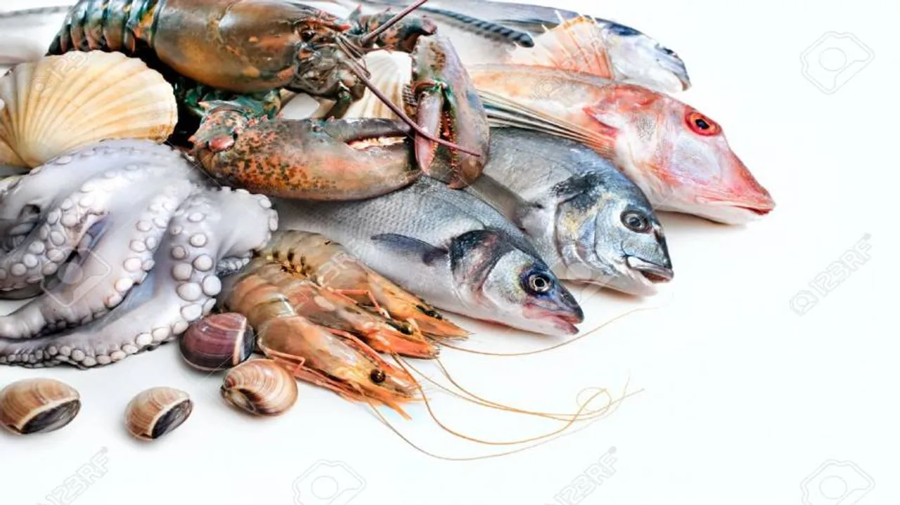 Sea food export from Odisha has bright future ahead