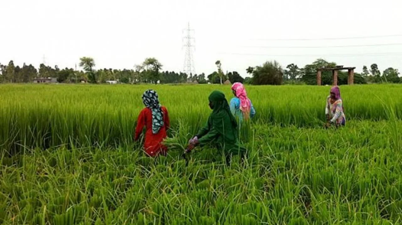 New law for sharecroppers: Five-member committee formed!