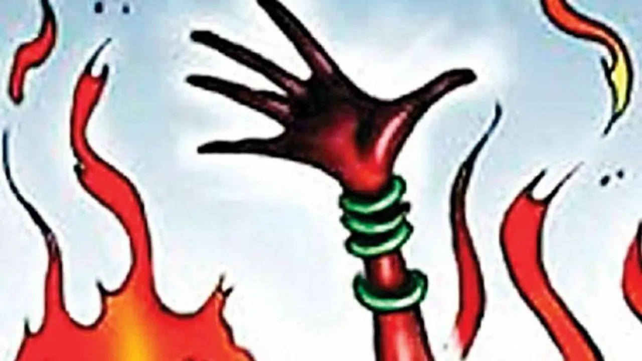 Stalker sets afire college girl in public view in Telangana