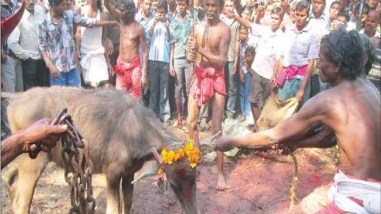 Sulia fest tomorrow, Sec 144 clamped to prevent mass sacrifice