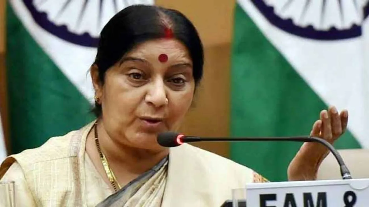 India calls for 'early comprehensive' UN reform