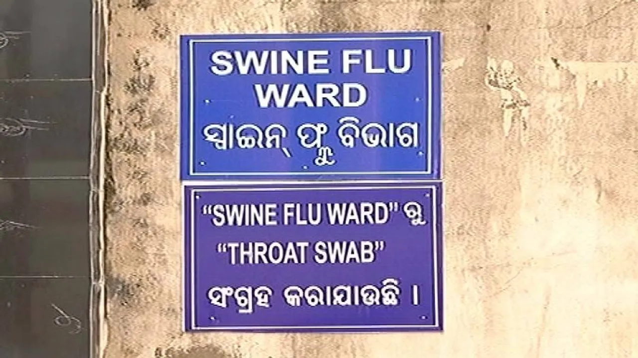 Swine flu death toll mounts to 9