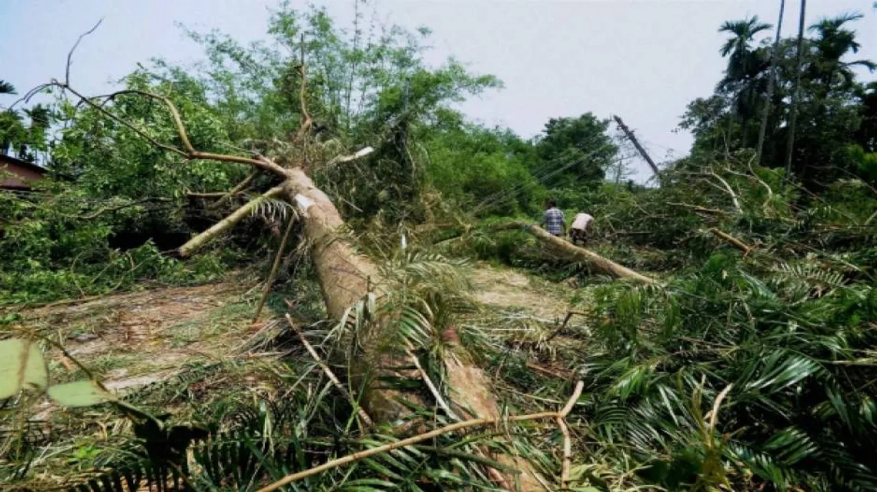 Nor’wester kills three in Odisha