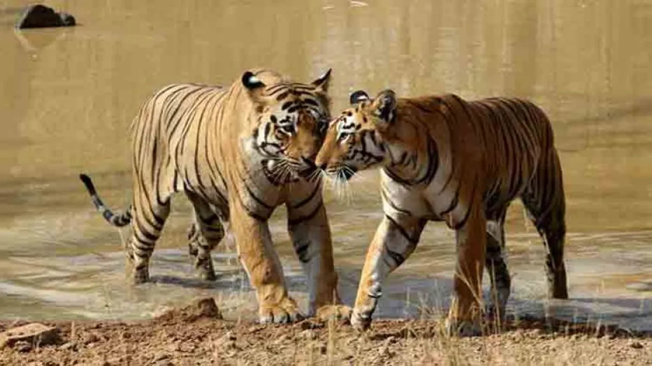 Amendment to Wildlife (Protection) (Odisha) Rules, 1974 soon: PCCF