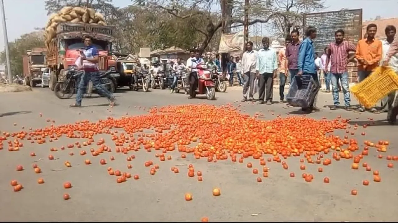 Distress sale forces Keonjhar farmers to dump sacks of tomatoes near Collectorate