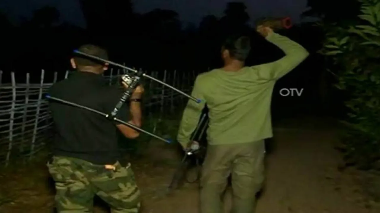 After failed attempt, tranquillising team hopeful to capture tigress ‘Sundari’ soon