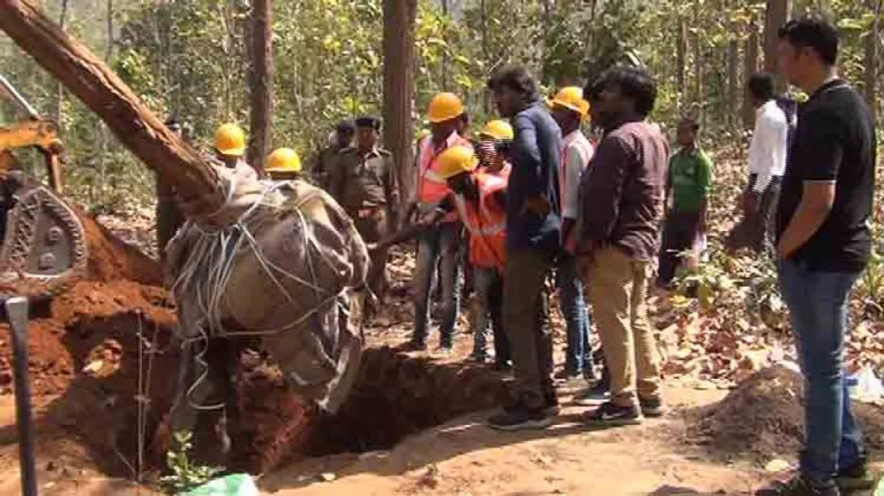 Mass tree transplantation initiative to save roadside green cover in Kandhamal
