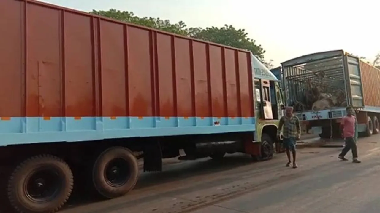 2 held for cattle smuggling in Balasore, 4 vehicles seized