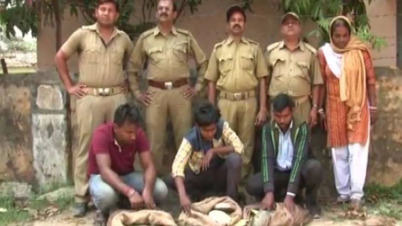 Turtles Smuggling in Train: Railway police arrests 3 persons, seizes 45 live turtles