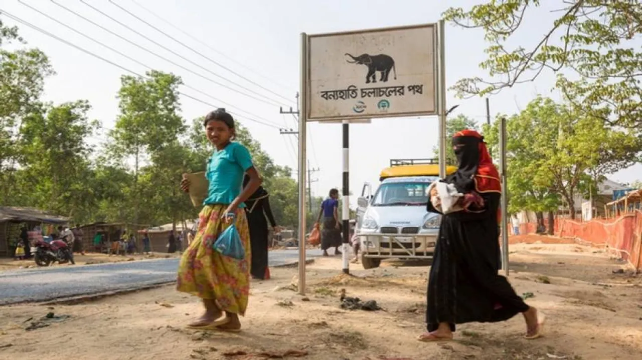 UNHCR's programme to protect Rohingyas from elephant attacks