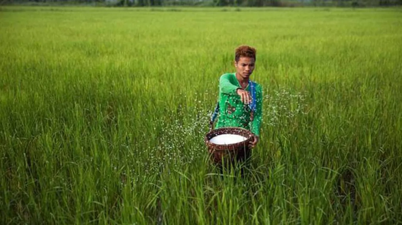 Odisha Urges Centre To Supply 1.03 Lakh Tonne Of Urea