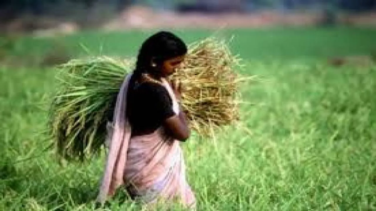 OLM, Tata tie up to develop model villages in Rayagada
