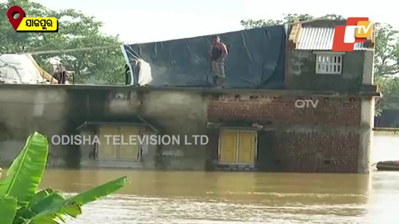 Odisha Flood Updates: Mahanadi In Spate, Submergence In Low Lying Districts