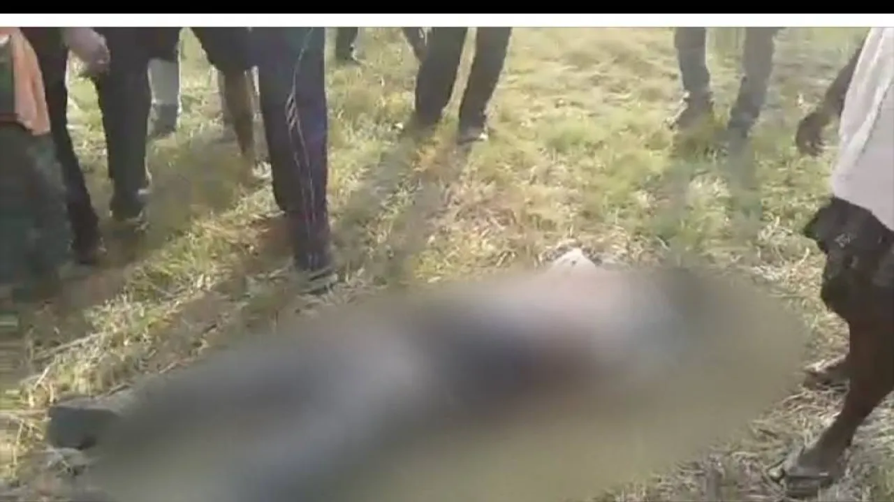 Mobocracy has no place in a democracy