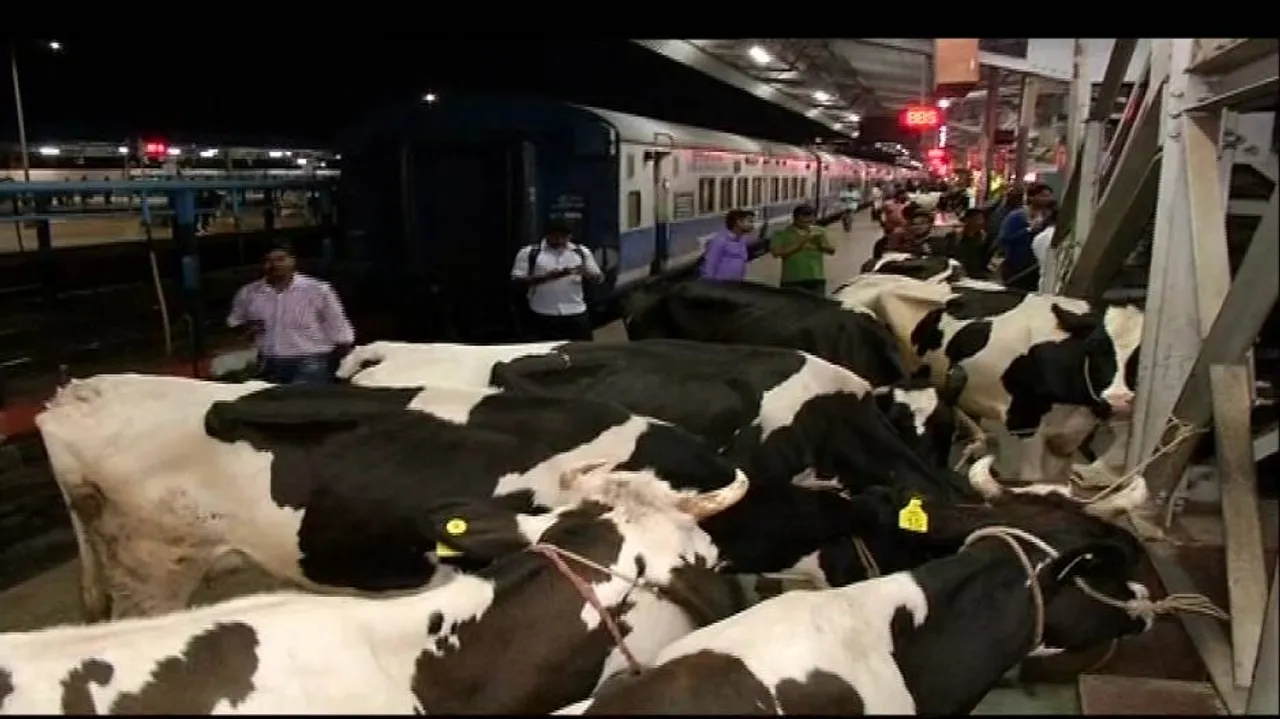 2 roughed up at Bhubaneswar station for transporting cows in train