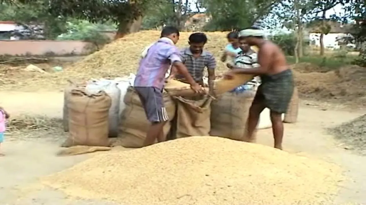 Aadhaar card not mandatory for paddy procurement