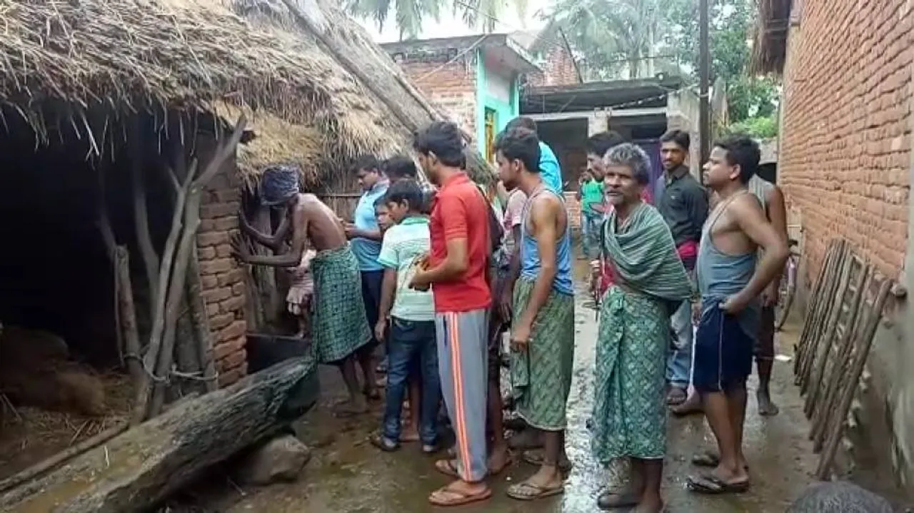 After Niali, mysterious animal kills 12 sheep in Bhanjanagar