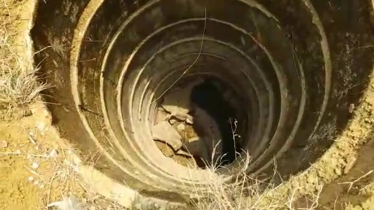 Four sloth bears rescued from well in Nabarangpur