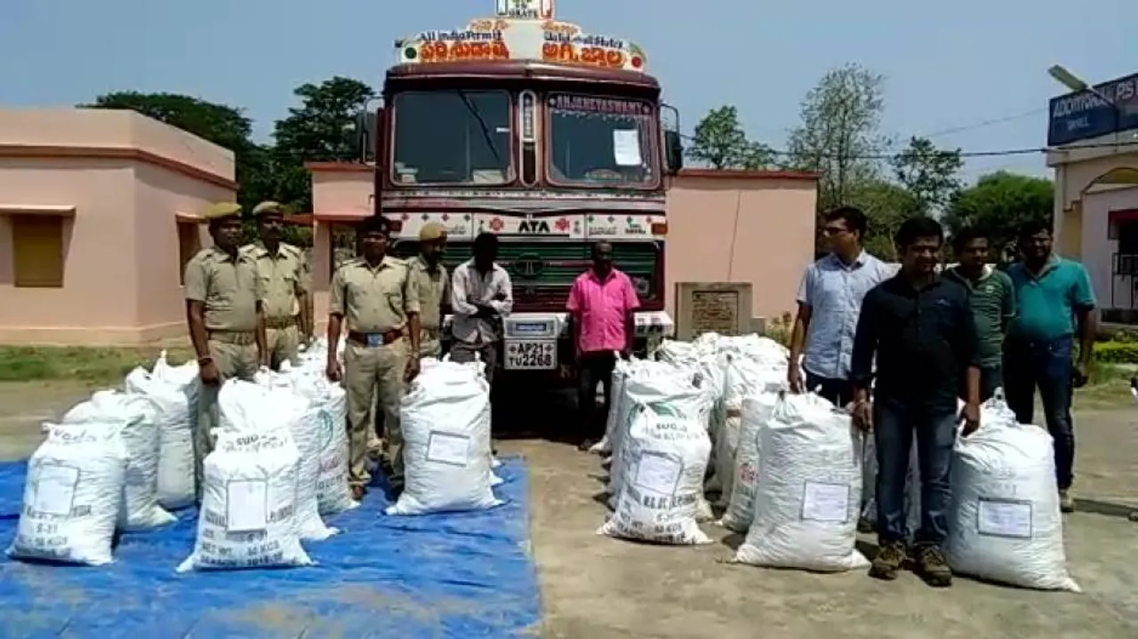 Ganja worth nearly Rs 3 crore seized in Malkangiri; 2 arrested